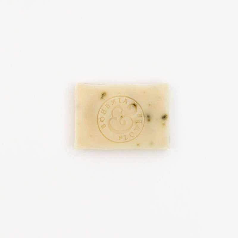 Coast Bar Soap - Organic Seaweed & Tea Tree