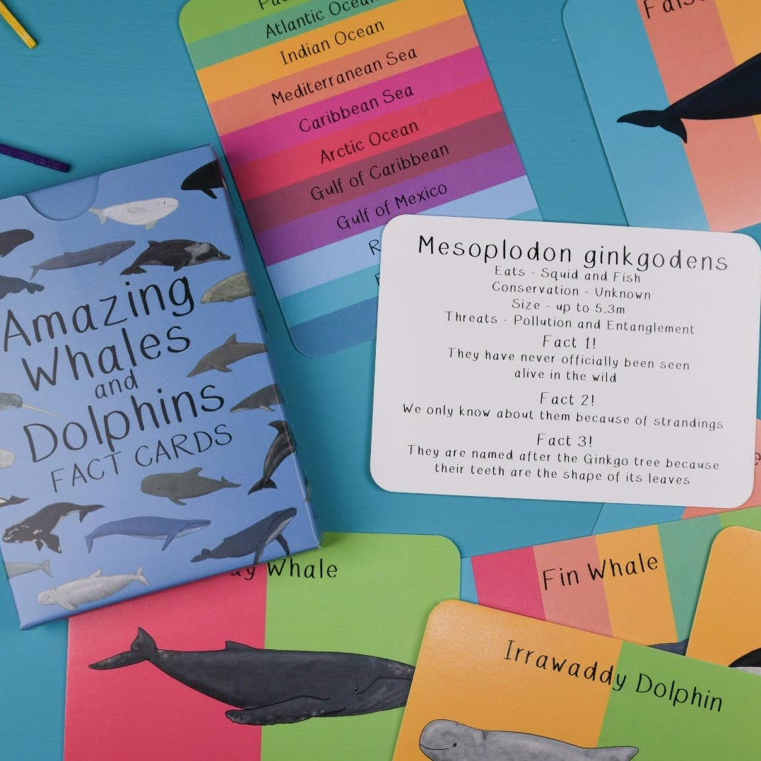 Amazing Whales and Dolphins Fact Cards