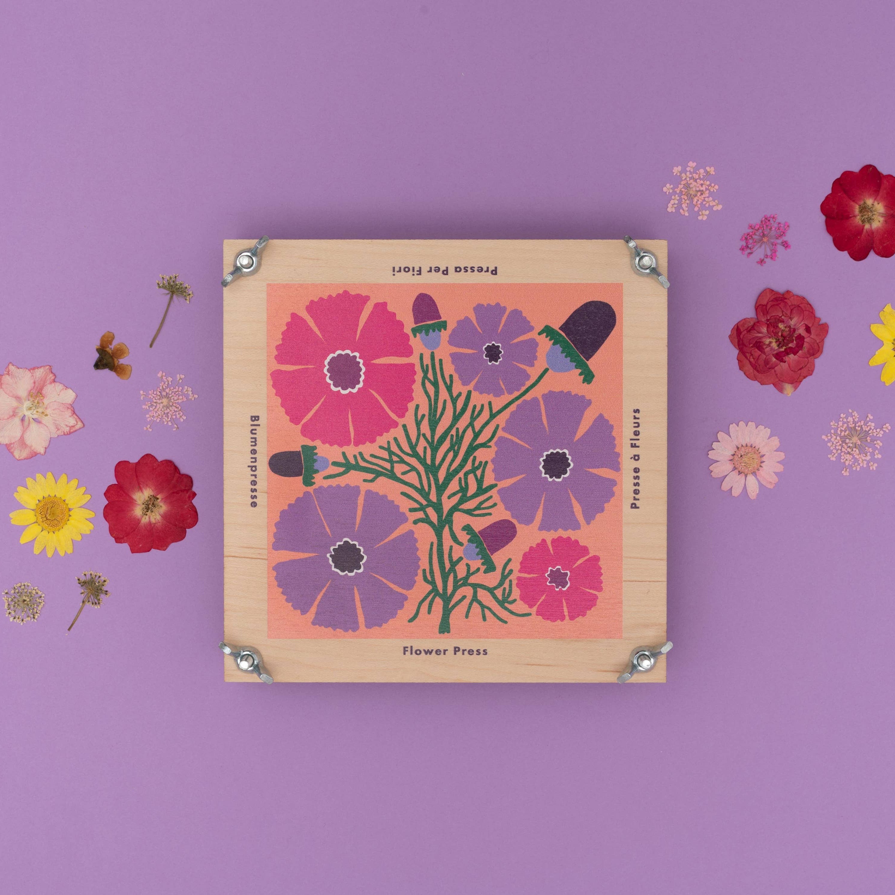 Flower Press | Cosmos