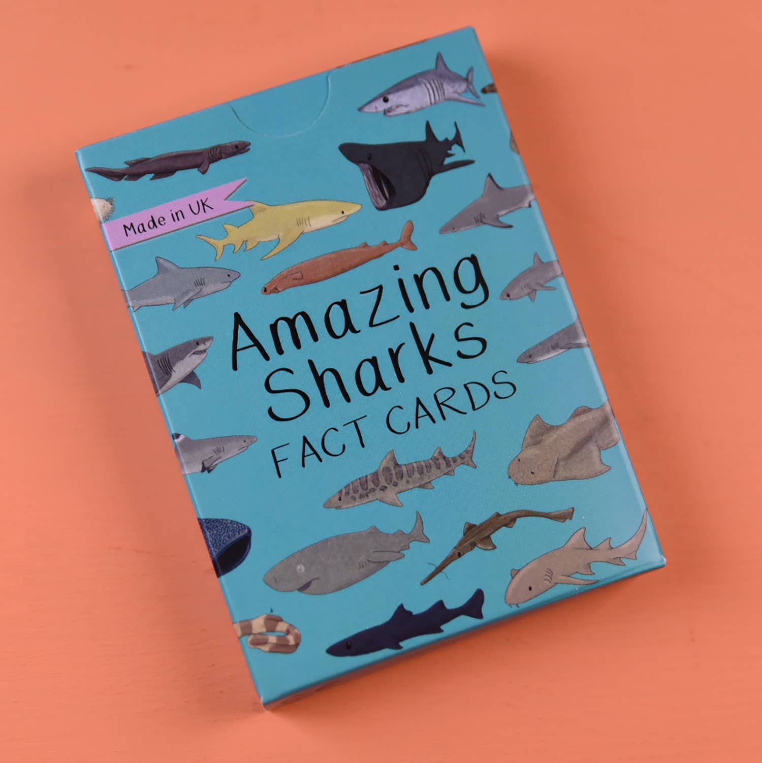Amazing Sharks Fact Cards