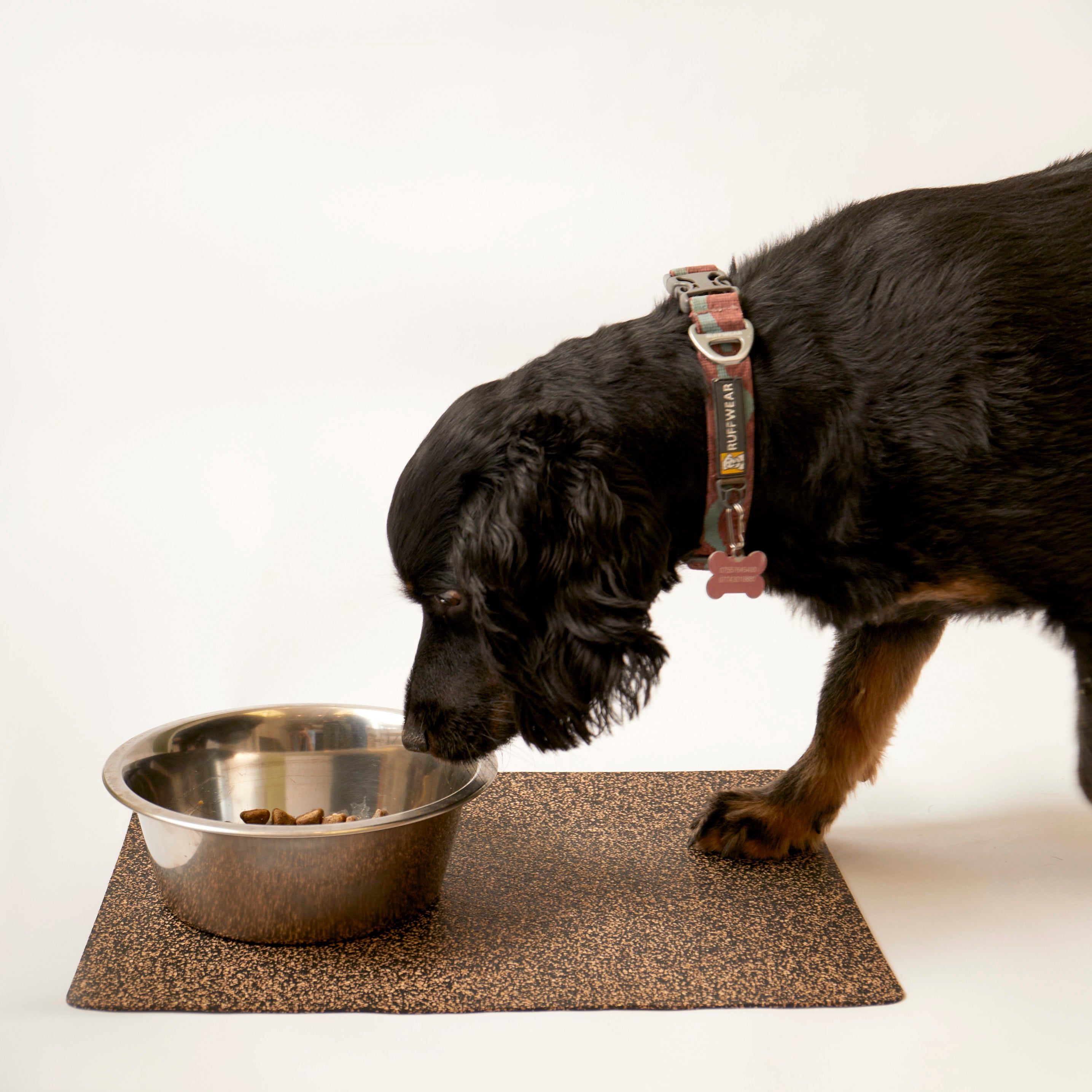 Dash Max Rectangle Pet Feeding Mat