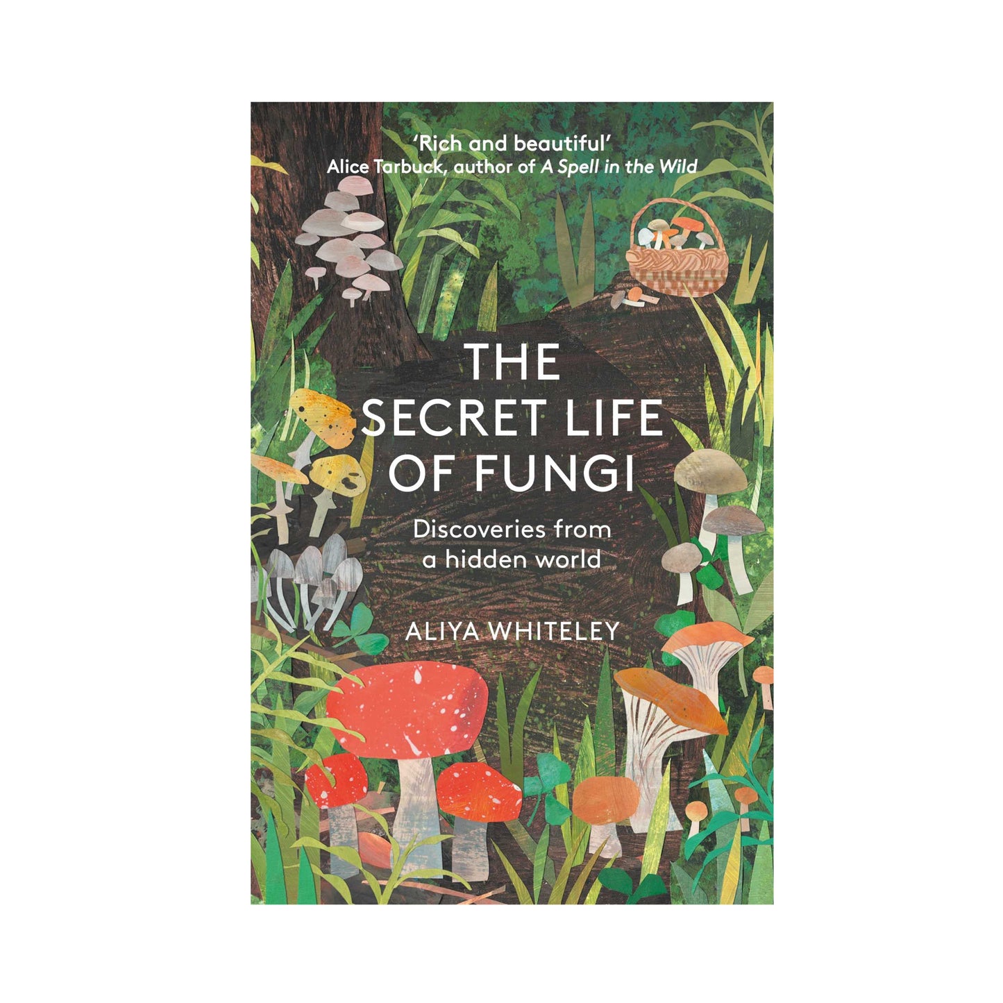 The Secret World of Fungi