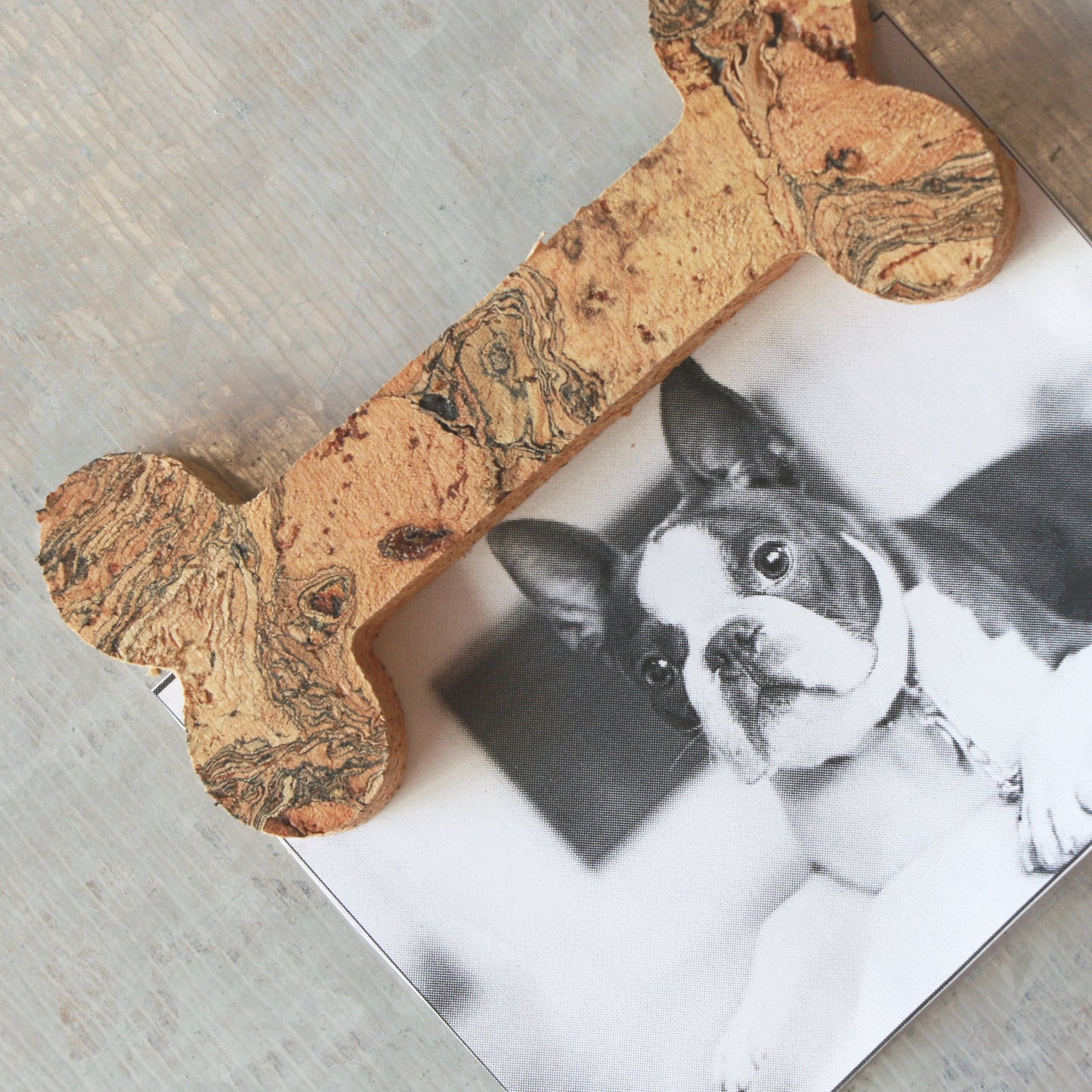 cork bone magnet with dog picture