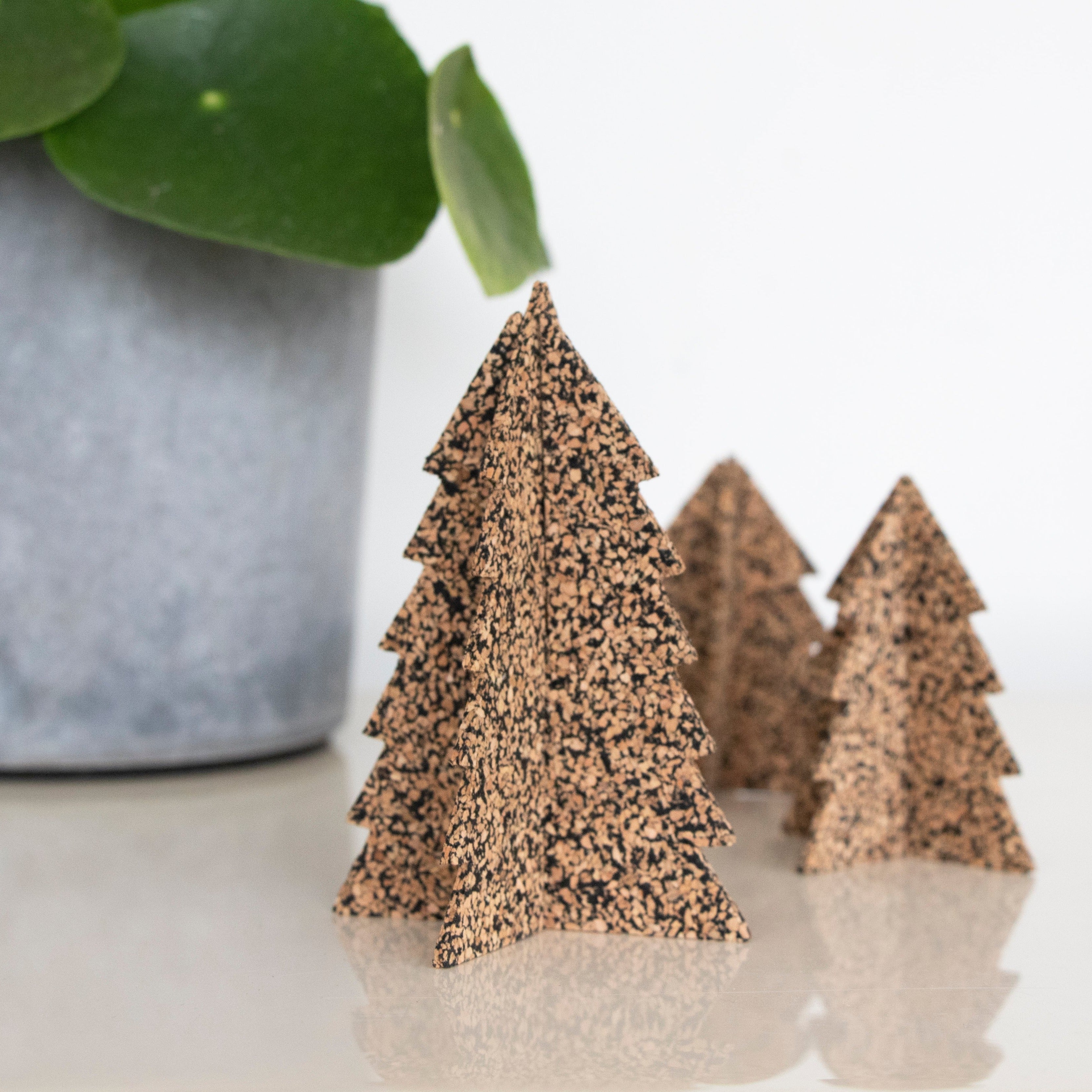 Pop A Cork | Dash Tall Tree – LIGA Eco Store