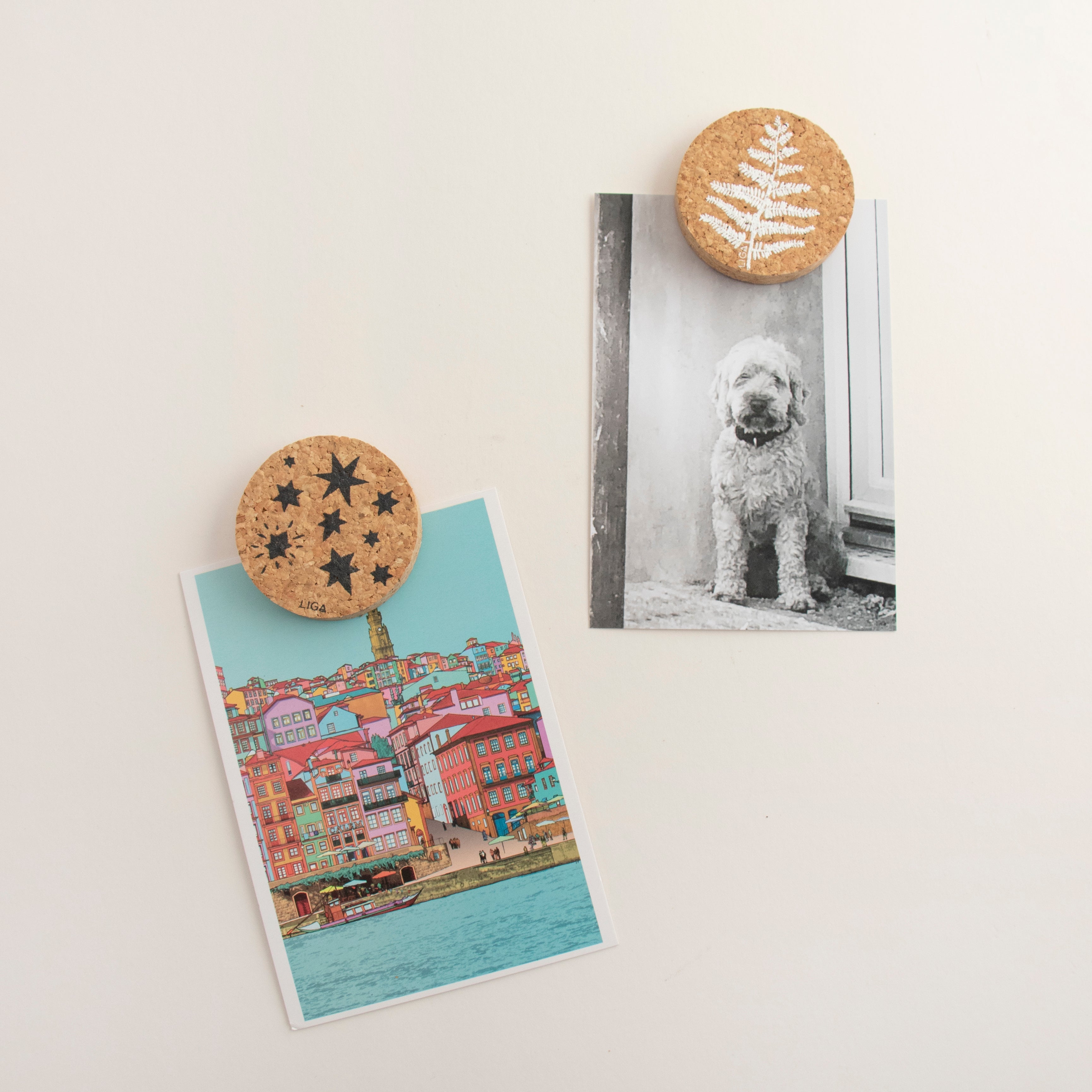 Stars Cork Magnet