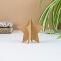 Organic Cork Decoration Pop-A-Cork | Star